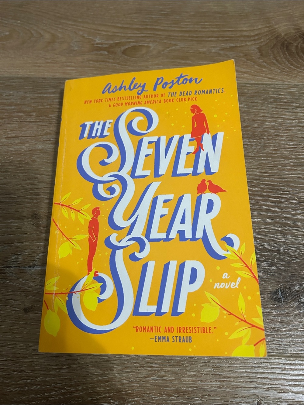 The Seven Year Slip by Ashley Poston